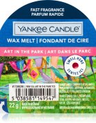 Yankee Candle Art In The Park ceară pentru aromatizator 22 g
