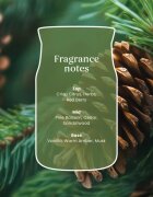 Yankee Candle Balsam & Cedar Fireside lumânare parfumată Signature 110 g