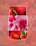 Yankee Candle Cliffside Sunrise lumânare parfumată 368 g