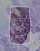Yankee Candle Lavender Vanilla lumânare parfumată 268 g