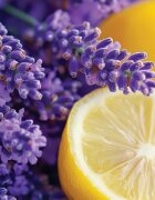 Yankee Candle Lemon Lavender lumânare parfumată Signature 110 g