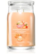 Yankee Candle Mango Ice Cream lumânare parfumată Signature 567 g