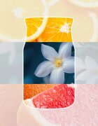 Yankee Candle Midnight Jasmine lumânare parfumată Signature 110 g
