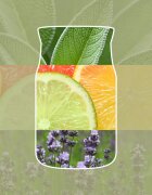Yankee Candle Sage & Citrus lumânare parfumată Signature 110 g