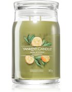 Yankee Candle Sage & Citrus lumânare parfumată Signature 567 g
