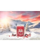 Yankee Candle Santa On Skis lumânare parfumată 567 g