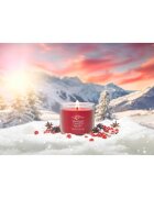 Yankee Candle Santa On Skis lumânare parfumată Signature 122 g