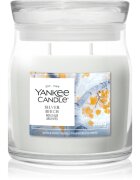 Yankee Candle Silver Birch lumânare parfumată 368 g
