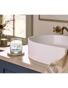 Yankee Candle Silver Birch lumânare parfumată 368 g