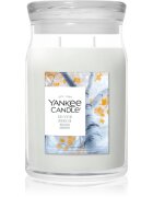 Yankee Candle Silver Birch lumânare parfumată 567 g