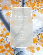 Yankee Candle Silver Birch lumânare parfumată 567 g
