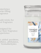 Yankee Candle Silver Birch lumânare parfumată 567 g