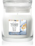 Yankee Candle Silver Birch lumânare parfumată Signature 110 g