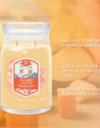Yankee Candle Slopeside Spritz lumânare parfumată Signature 567 g