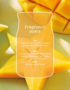 Yankee Candle Starfruit & Sunshine odorizant auto 1 buc