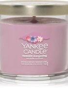 Yankee Candle Summit Stargazing lumânare parfumată Signature 122 g