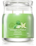 Yankee Candle Vanilla Lime lumânare parfumată Signature 368 g