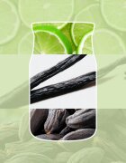 Yankee Candle Vanilla Lime lumânare parfumată Signature 567 g