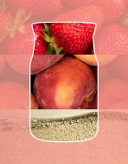 Yankee Candle White Strawberry Bellini lumânare parfumată 567 g