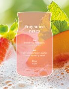 Yankee Candle White Strawberry Bellini lumânare parfumată 567 g