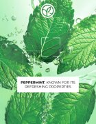 Yves Rocher Pure Menthe gel de curățare blând cu efect exfoliant 125 ml