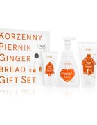 Ziaja Gingerbread set cadou pentru corp