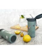 Zopa Thermo Bottle with Silicone Holder and Drinking Spout termos cu pai Dino 1 buc