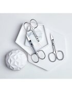 Zwilling Classic foarfecă pentru unghii și cuticule 2 in 1 1 buc