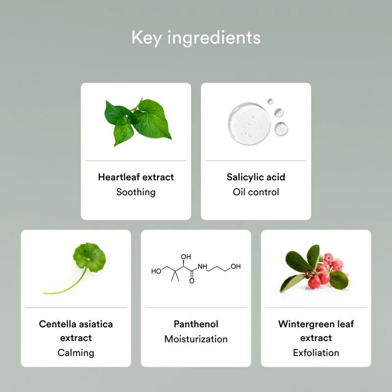 Abib Heartleaf Mild Foam Cleanser spuma de curatare revigoranta pentru ten acneic 150 ml