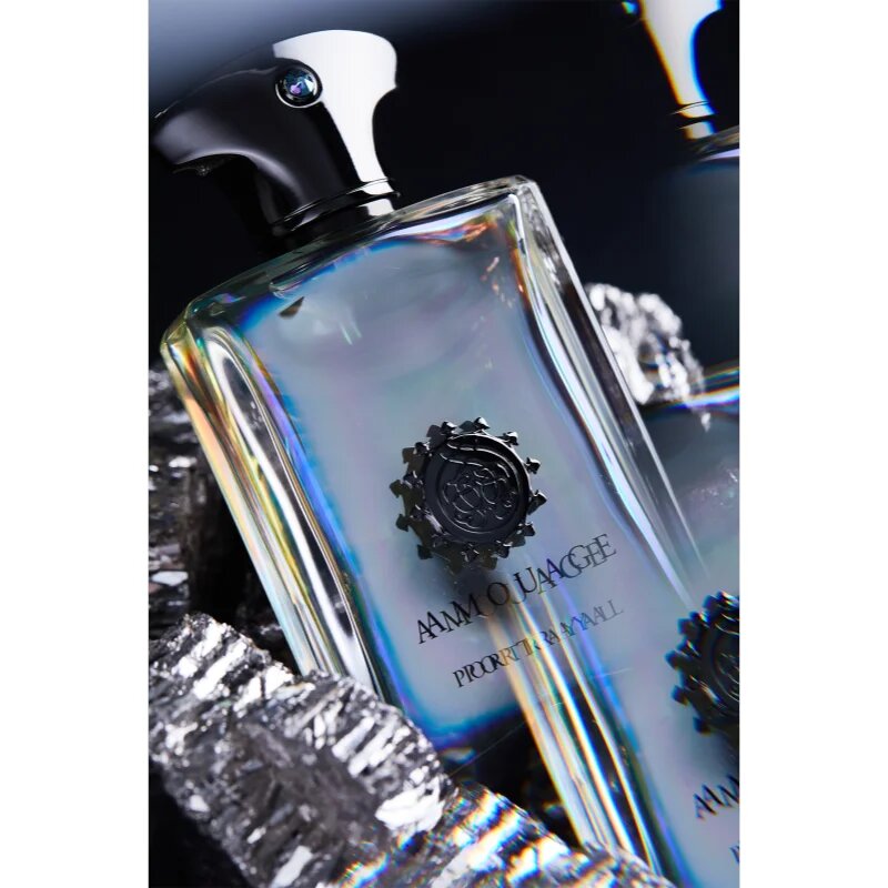 Amouage Portrayal Eau de Parfum pentru bărbați 100 ml