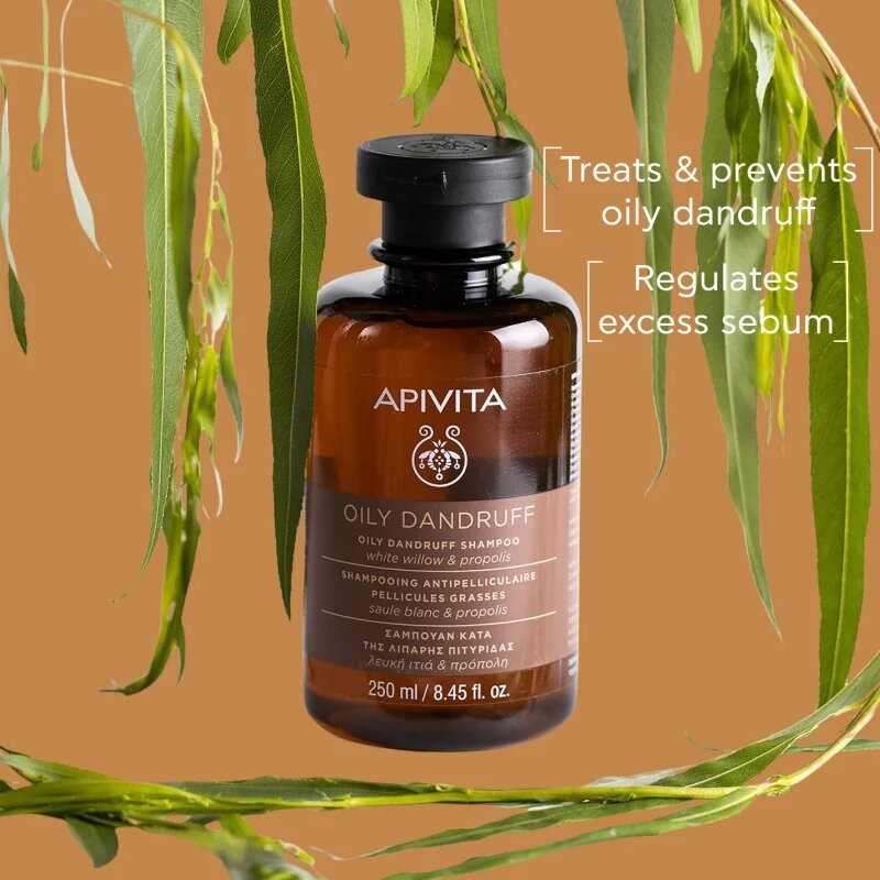 Apivita Dandruff Relief Oily Dandruff Dermatological Shampoo sampon anti-matreata pentru par gras 250 ml