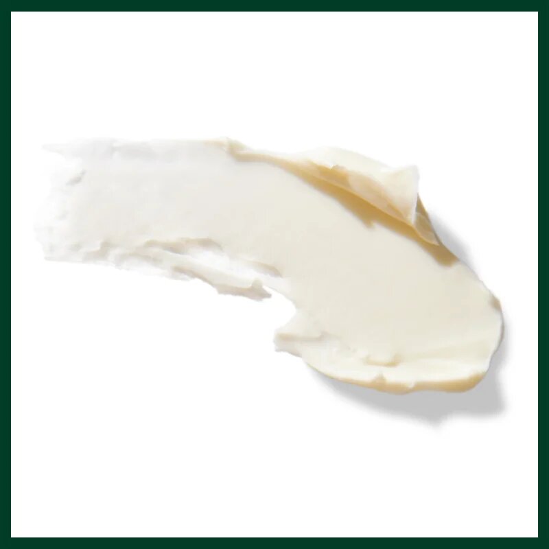 Aveda Men Pure - Formance™ Grooming Clay lut modelator pentru fixare și formă 75 ml