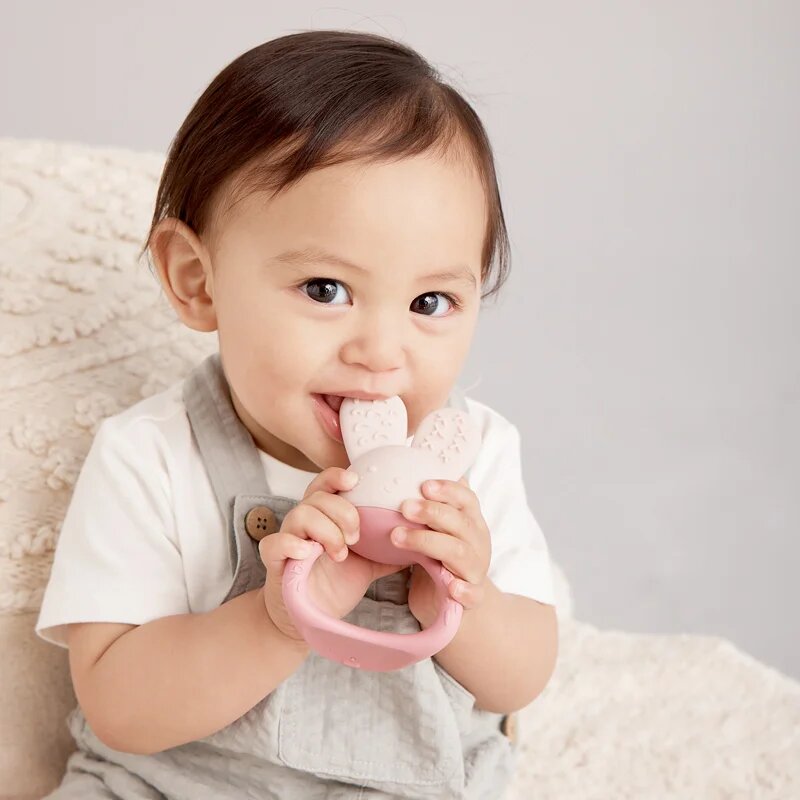 B.Box Teether jucărie pentru dentiție cu efect racoritor Blush 1 buc