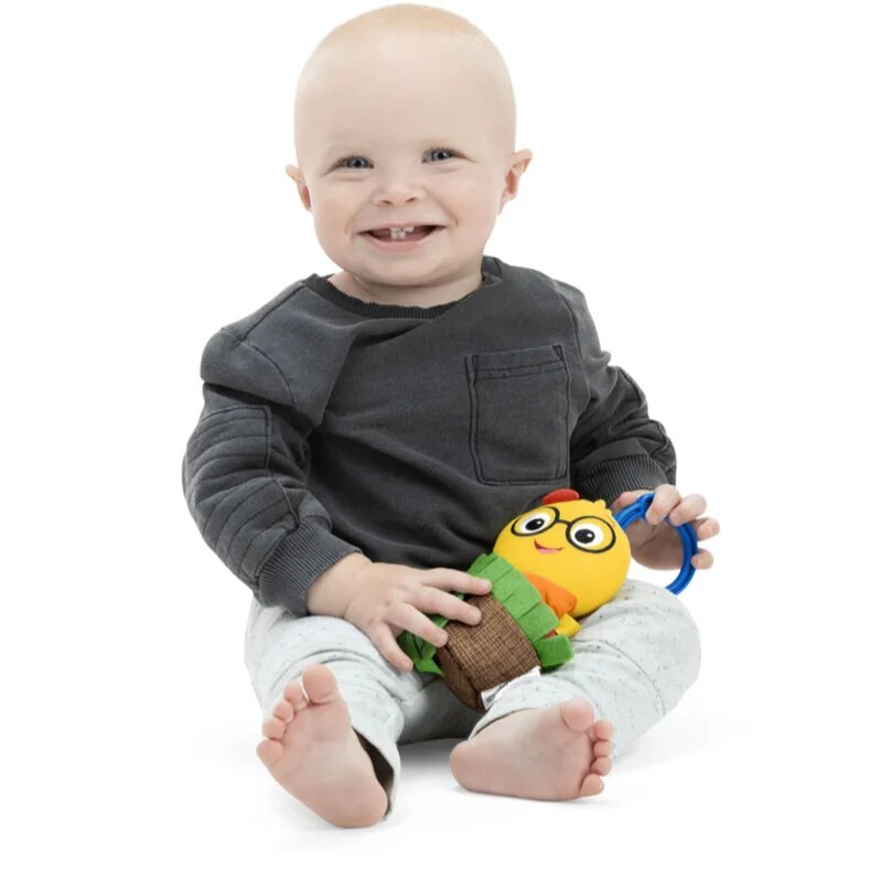 Baby Einstein Cal-a-Puller™ jucarie cu zornăitoare 0m+ 1 buc
