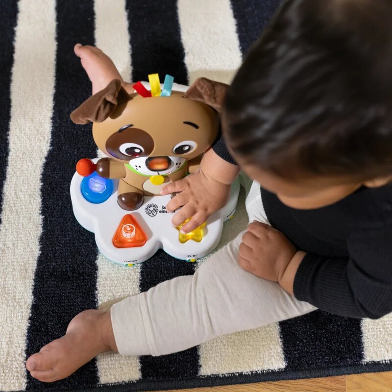 Baby Einstein Drum & Learn Dean Musical Learning Toy jucărie muzicală 6 m+ 1 buc