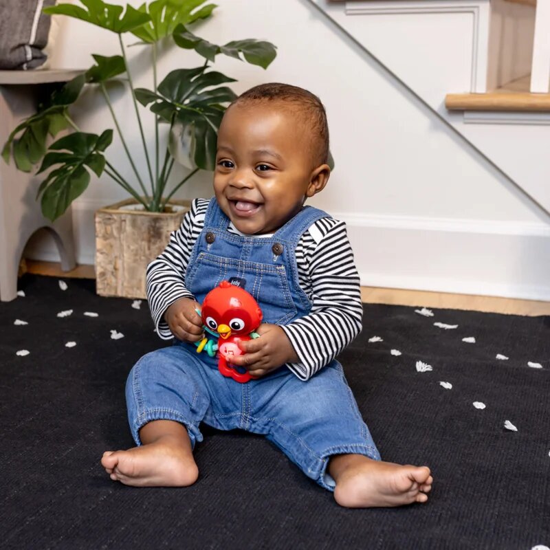 Baby Einstein Roxy's Bright Flight™ jucărie muzicală 3m 1 buc