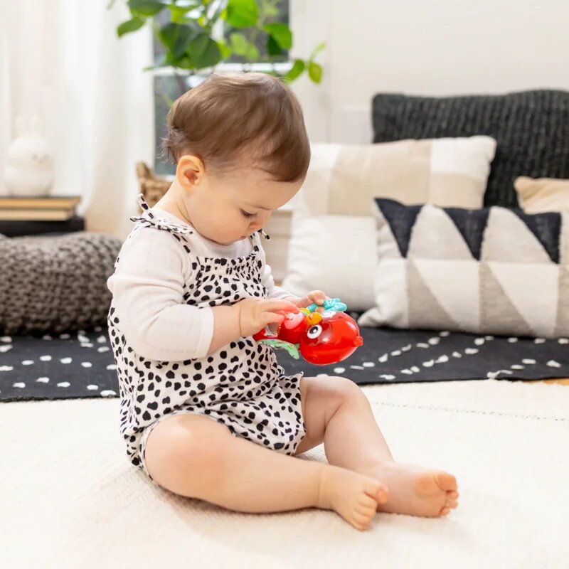 Baby Einstein Roxy's Bright Flight™ jucărie muzicală 3m 1 buc