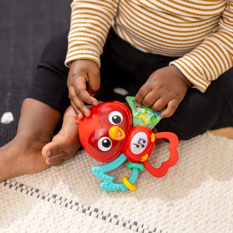 Baby Einstein Roxy's Bright Flight™ jucărie muzicală 3m 1 buc