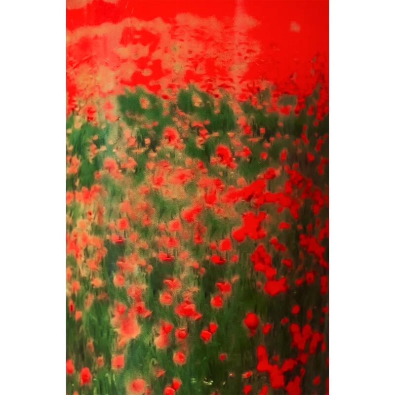 Baobab Collection Arty Flowers Poppies lumânare parfumată 500 g