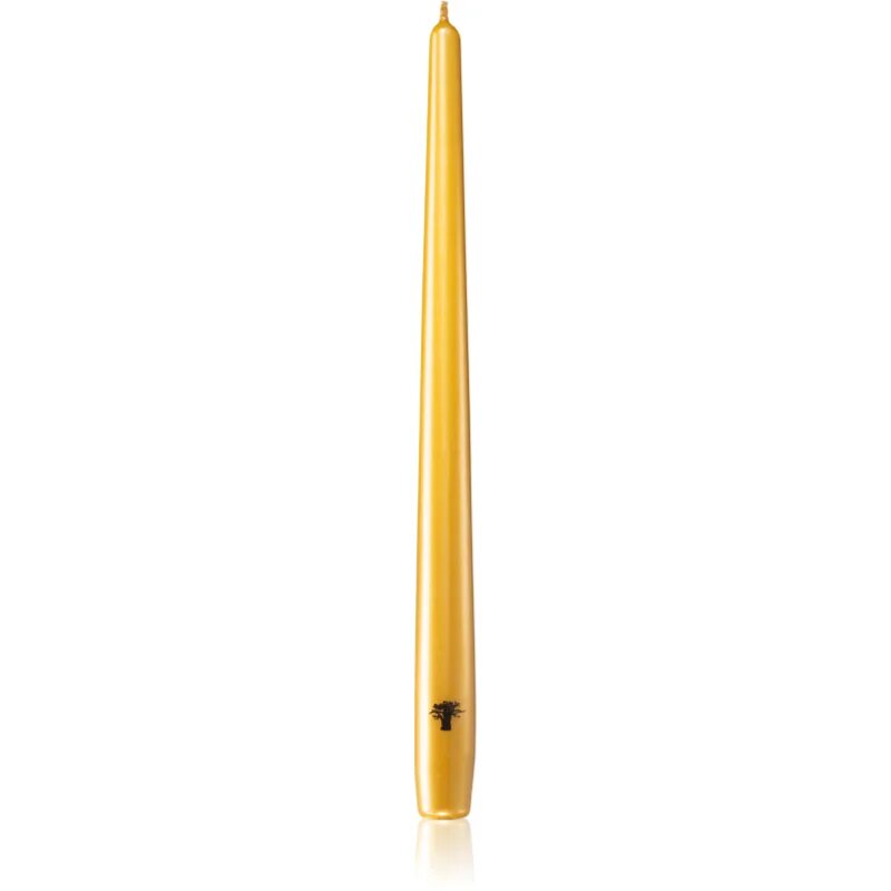Baobab Collection Candela Gold lumanare 4 buc