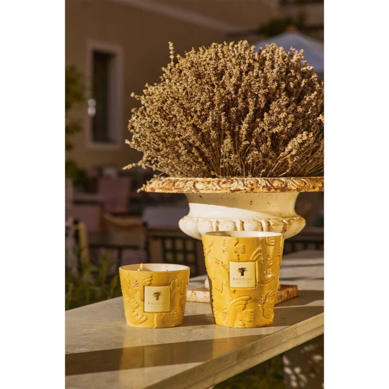 Baobab Collection Paz Dove lumânare parfumată 1000 g