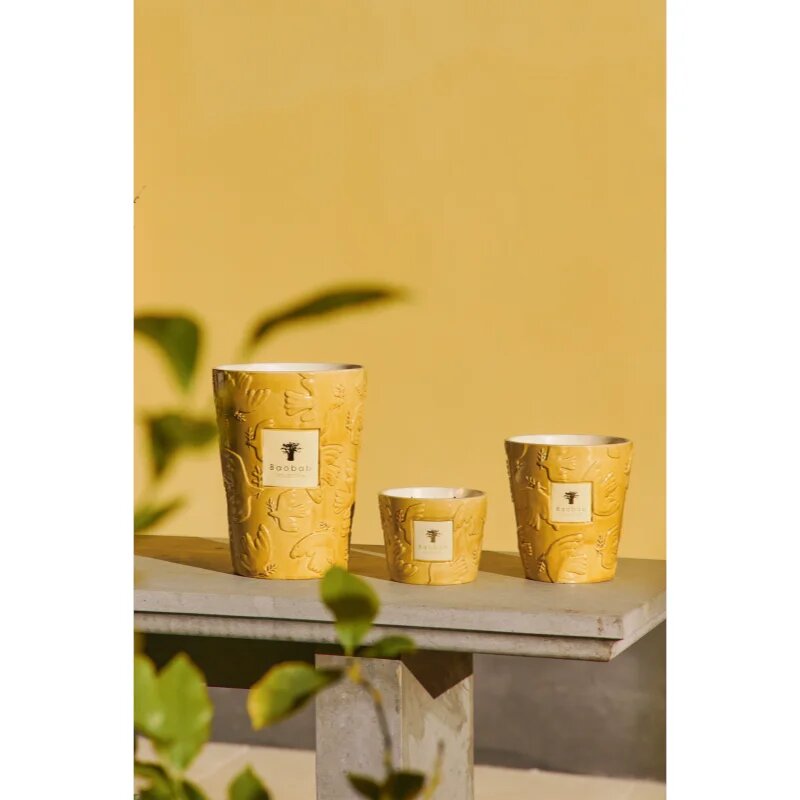 Baobab Collection Paz Dove lumânare parfumată 1000 g