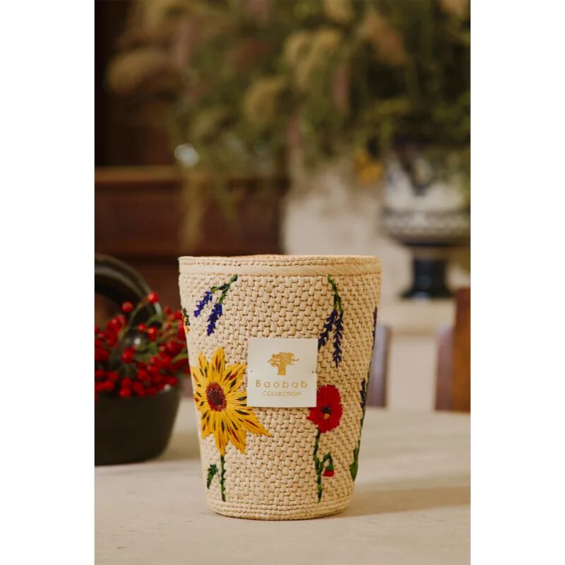 Baobab Collection Vony Ahitra lumânare parfumată 1000 g