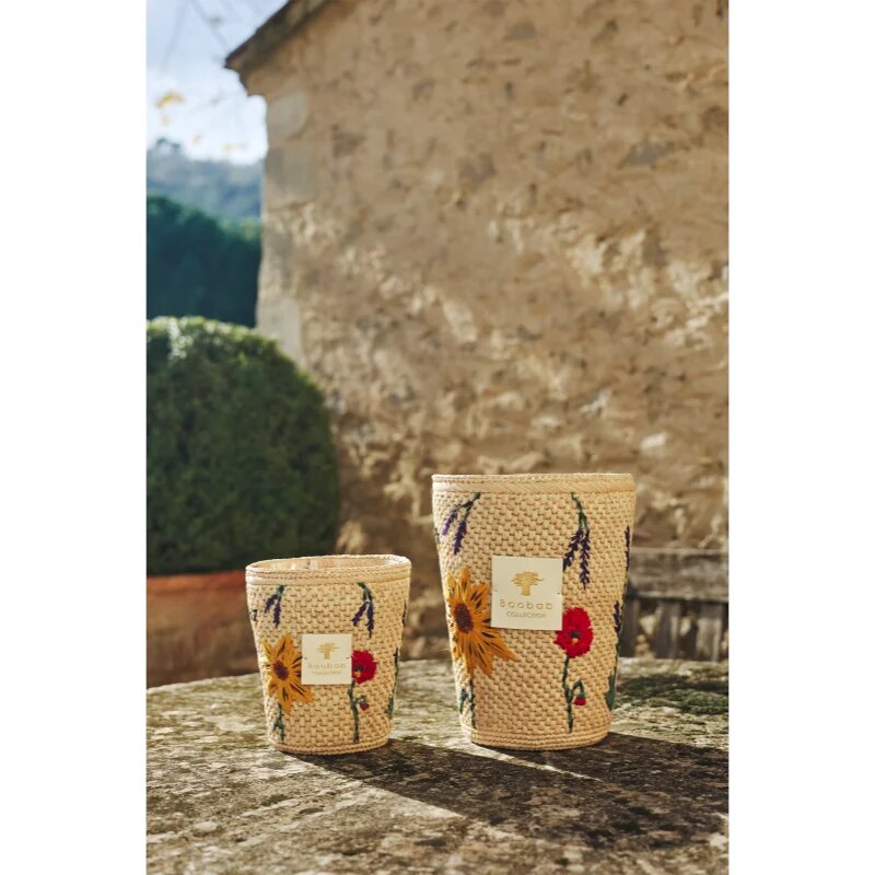 Baobab Collection Vony Ahitra lumânare parfumată 1000 g