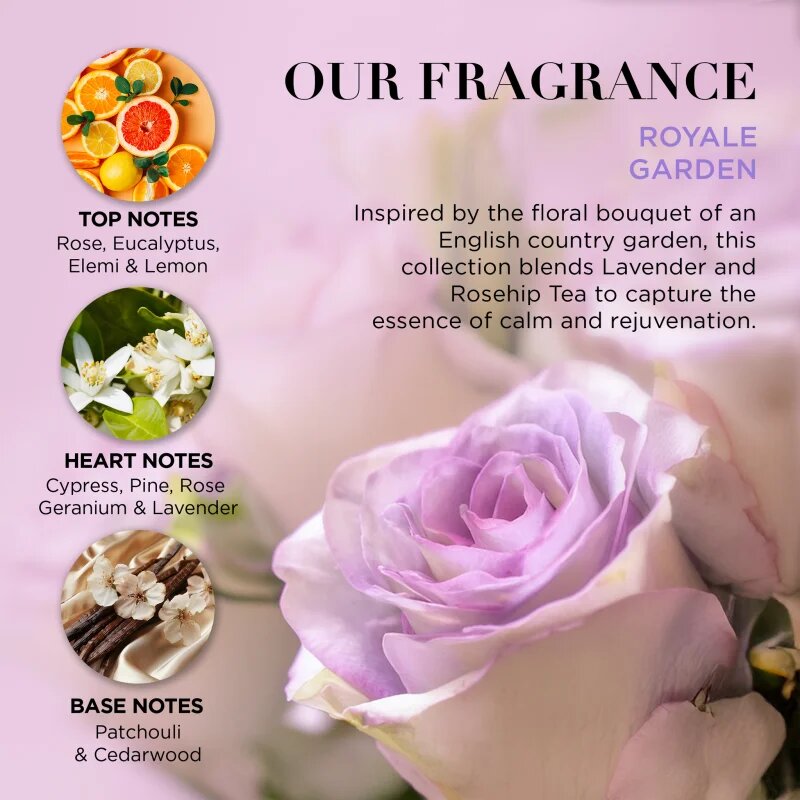 Baylis & Harding Royale Garden Lavender & Rose Hip Tea set cadou