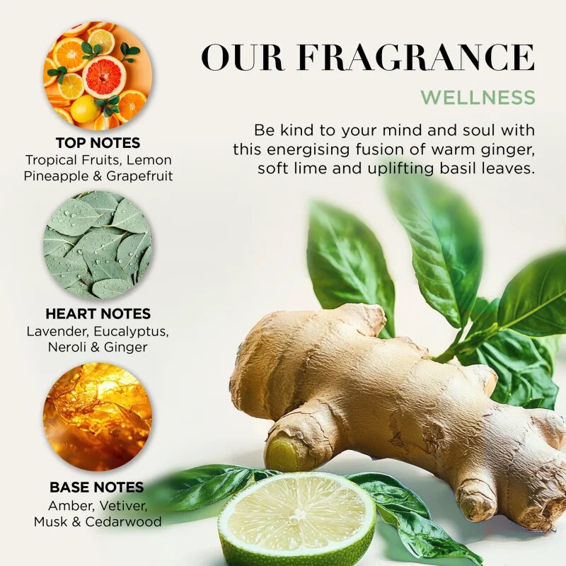 Baylis & Harding Wellness. Energise set cadou Ginger Lime & Basil Leaf