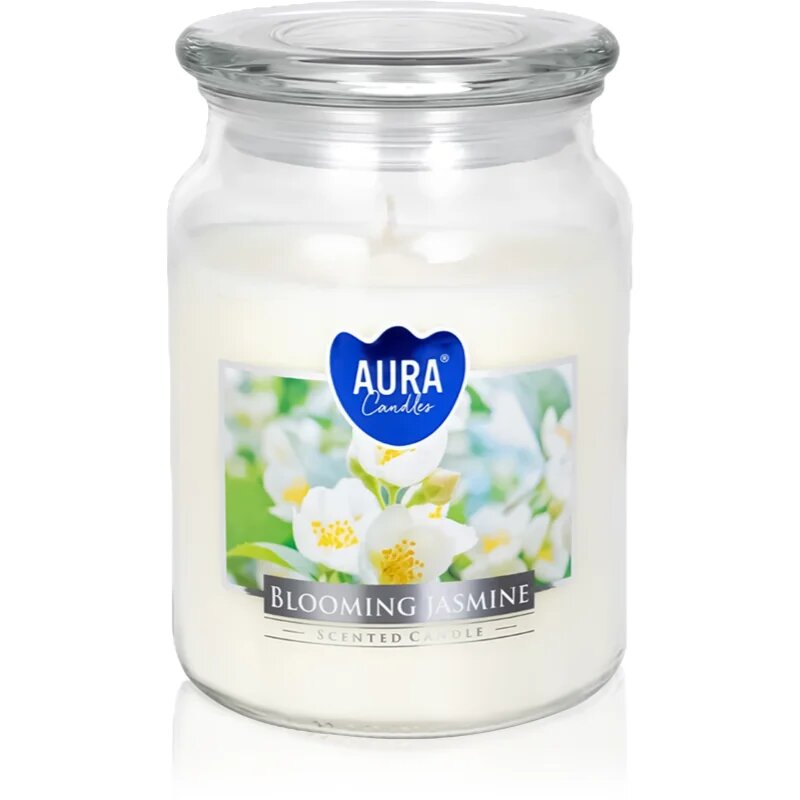 BISPOL Premium Line Jasmine lumânare parfumată 500 g