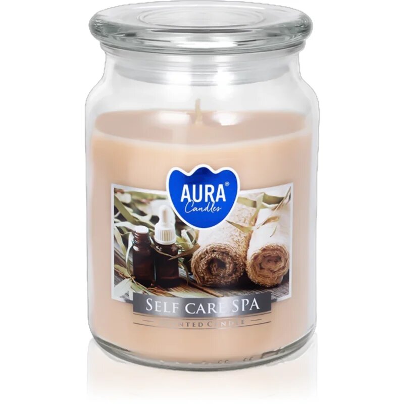 BISPOL Sef Care SPA lumânare parfumată 500 ml