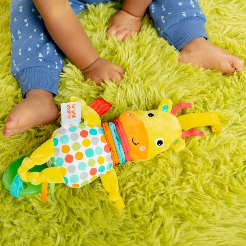 Bright Starts Pull Play & Boogie™ jucarie cu melodie 0m+ 1 buc
