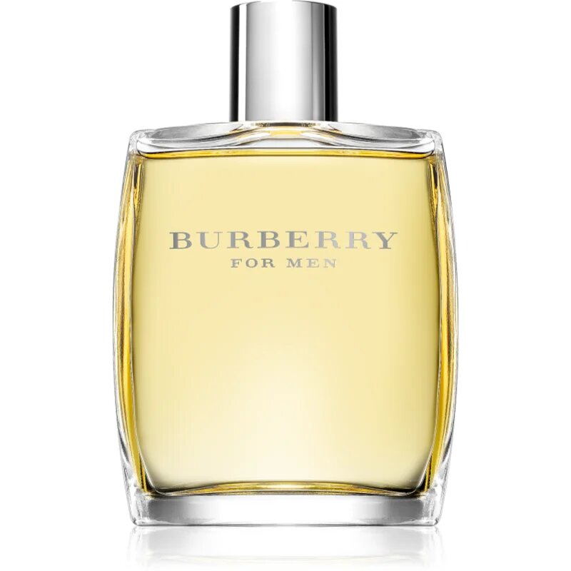 Burberry for Men Eau de Toilette pentru bărbați 100 ml